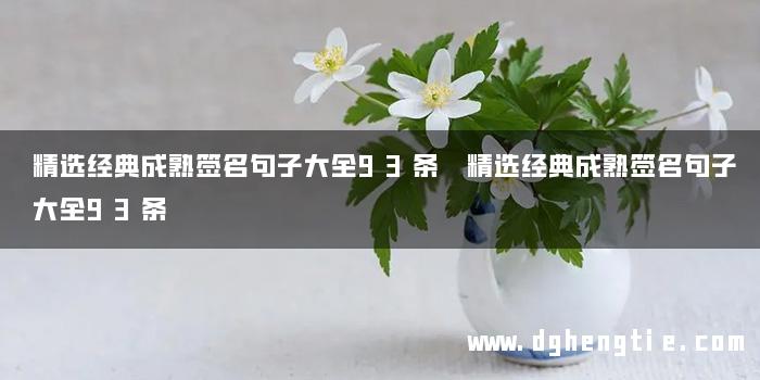 精选经典成熟签名句子大全93条 精选经典成熟签名句子大全93条